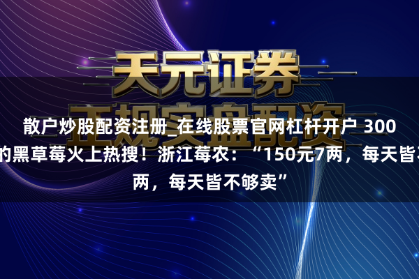 散户炒股配资注册_在线股票官网杠杆开户 300元一斤的黑草莓火上热搜！浙江莓农：“150元7两，每天皆不够卖”